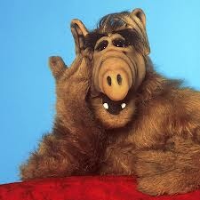 E L F .... Loved Him | Alf, Sitcom, Old Tv Shows