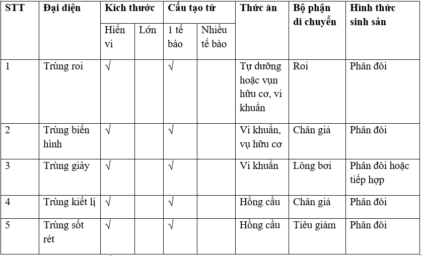 Giải Vbt Sinh Học 7 Bài 7: Đặc Điểm Chung Và Vai Trò Thực Tiễn Của Động Vật  Nguyên Sinh | Giải Vở Bài Tập Sinh Học 7 Hay Nhất Tại Vietjack