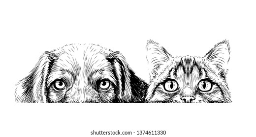65,588 Dog Cat Drawing Images, Stock Photos & Vectors | Shutterstock