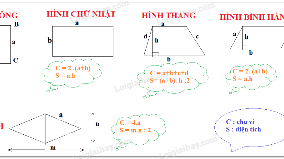 Lý Thuyết Chu Vi Và Diện Tích Của Một Số Hình Trong Thực Tiễn Toán 6 Chân  Trời Sáng Tạo | Toán Lớp 6 - Chân Trời Sáng Tạo