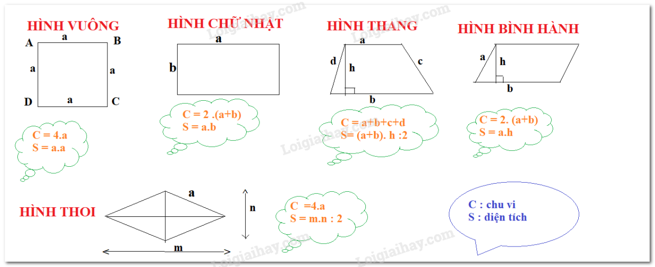 Lý Thuyết Chu Vi Và Diện Tích Của Một Số Hình Trong Thực Tiễn Toán 6 Chân  Trời Sáng Tạo | Toán Lớp 6 - Chân Trời Sáng Tạo