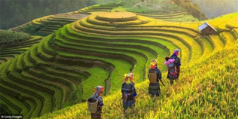 Những Hình Ảnh Đẹp Về Việt Nam - Báo Thái Nguyên Điện Tử
