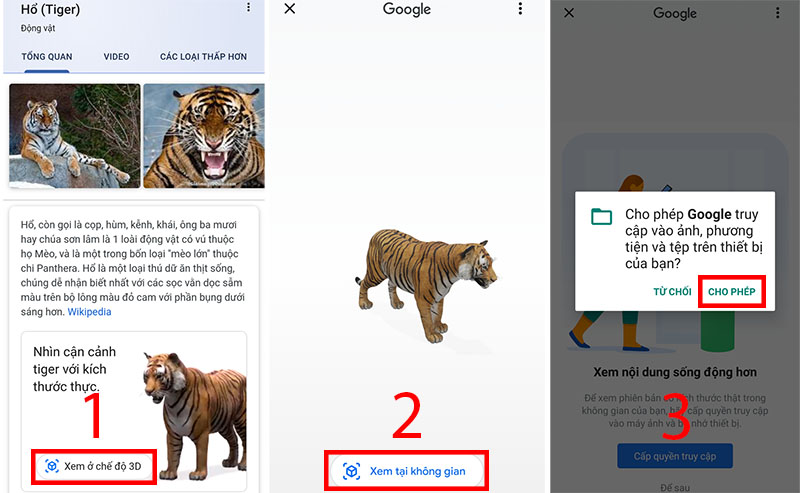 Hướng Dẫn Cách Xem Ảnh Động Vật 3D Bằng Google 3D Animals -  Thegioididong.Com