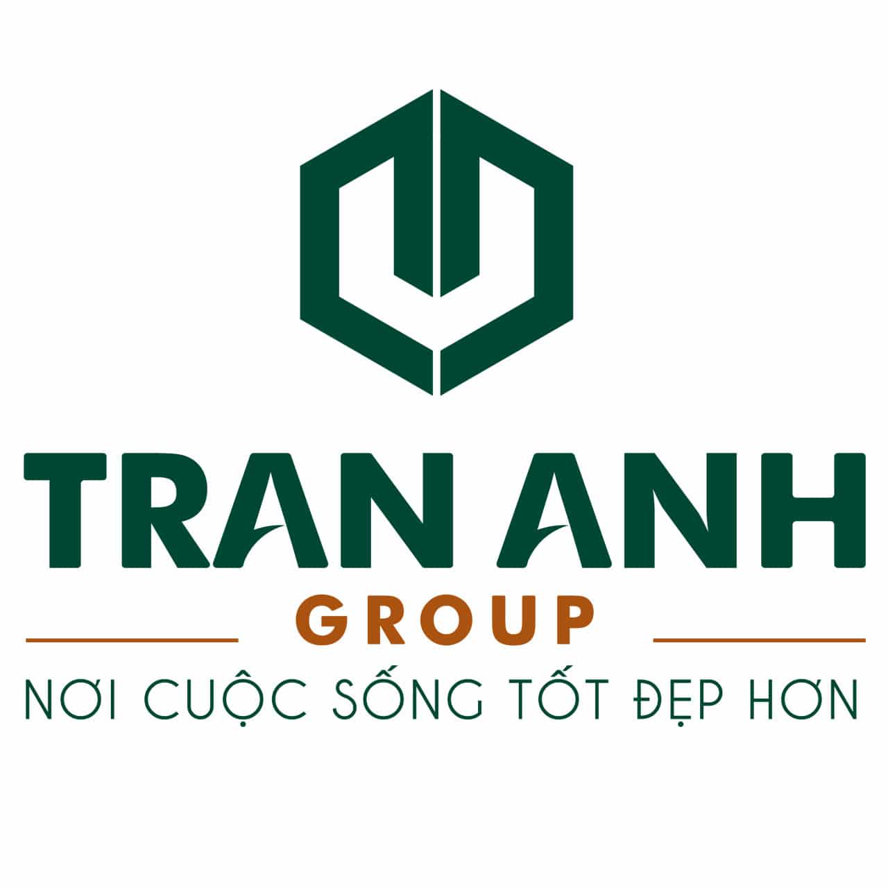 Trần Anh Group