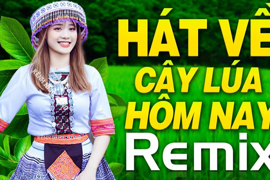 Hát Về Cây Lúa Hôm Nay Remix - Nhạc Đỏ Cách Mạng 30/4 Remix Sôi Động Mừng  Ngày Giải Phóng Miền Nam - Youtube