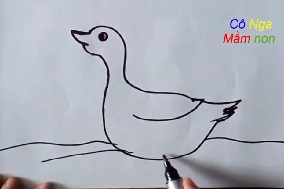 Dạy Vẽ Con Vịt - Hướng Dẫn Vẽ Con Vịt - How To Draw A Duck - Youtube