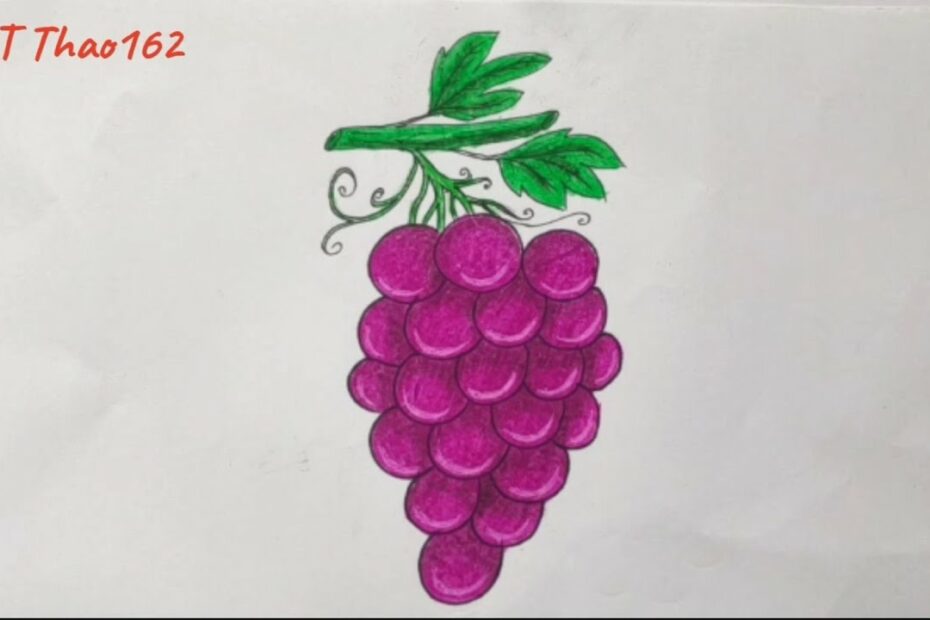 Vẽ Chùm Nho Siêu Dễ | How To Draw Grape | Art Thao162 - Youtube