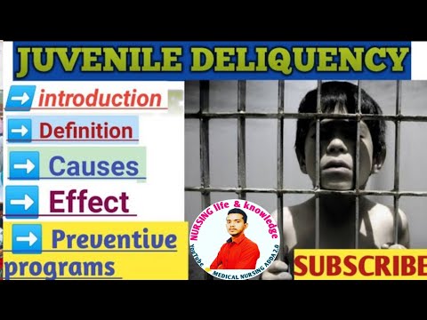 Juvenile Delinquency //social problems :juvenile delinquency  // definition, causes and prevention