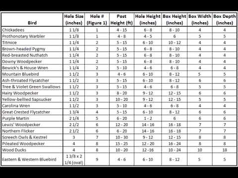 Bird House Door Entrance Holes For The Different Birds