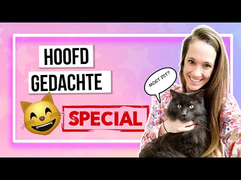 Hoe vind je de HOOFDGEDACHTE van een tekst? ZO makkelijk is het!🐱