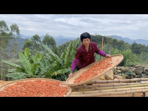 Sweet potato sun dried in winter gets you whole year snack冬日晒红薯，一年的零食就有了