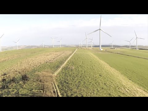 Eneco Wind Telegraph Business Club