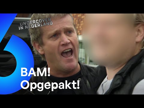 ⚠️ SCHOKKEND: MARTELMETHODES & de CONFRONTATIE met deze BEESTEN! | Undercover in Nederland