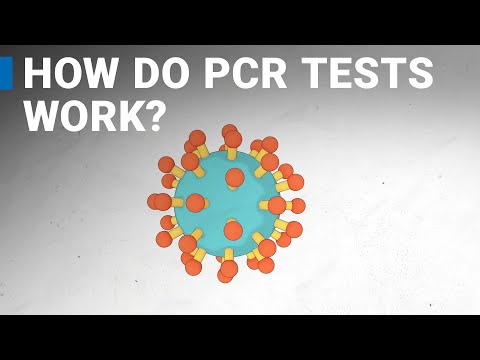 How do COVID-19 tests work? RT-PCR explained.