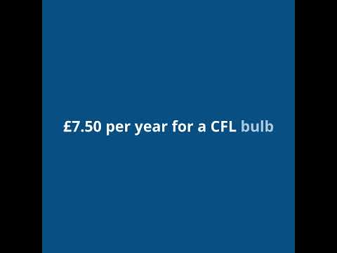 Which light bulbs are the most energy efficient?