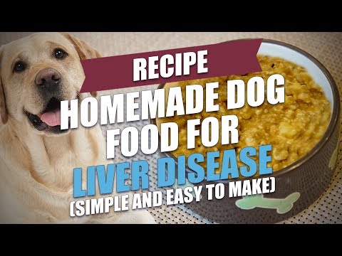 Homemade Dog Food for Liver Disease Recipe (Easy to Make)