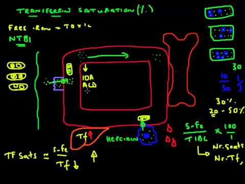 Transferrin Saturation Explained