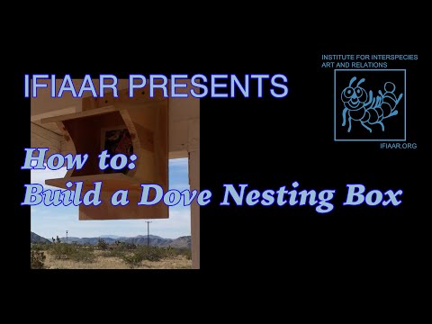 IFIAAR presents How to: Make a Dove Nesting Box