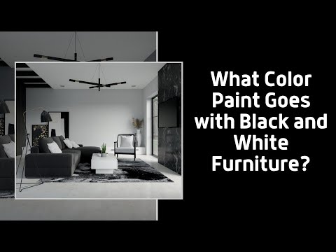 Wall Color Ideas for Room with Black and White Furniture