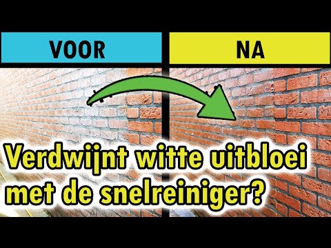 Witte aanslag, vlekken of uitbloei in de gevel met de Dakshampoo® snelreiniger reinigen? Een test!!!