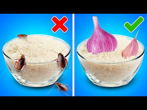 BESTE HACKS OM VOEDSEL LANGER TE BEWAREN || Keukenhacks en smakelijke recepten