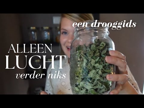 KRUIDEN DROGEN is super makkelijk! zonder oven of voedseldroger - voor in je thee of met koken