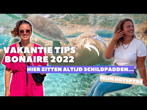 WAT MOET JE NU ECHT DOEN OP BONAIRE? | VAKANTIE TIPS 2022