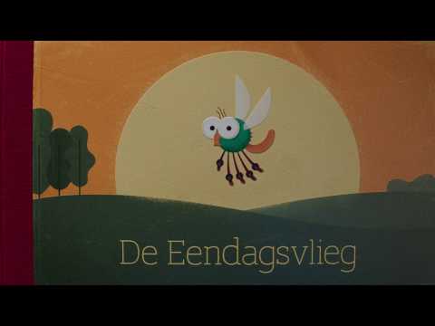 De Eendagsvlieg