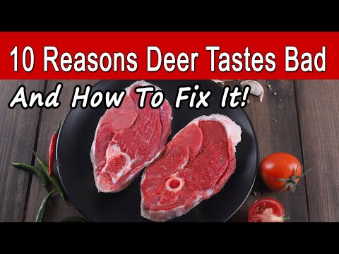 10 Reasons Deer Meat Tastes Bad & How To Make Venison Taste Great