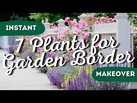 Drab to Fab: The 7 Best Garden Border Plants for Instant Wow Factor! 👍