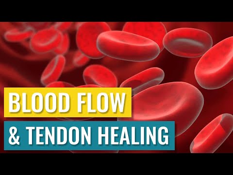 Blood Flow and Tendon Healing