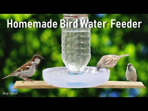 How To Make A Bird Water Feeder | DIY Homemade Plastic Bottle Bird Water Feeder