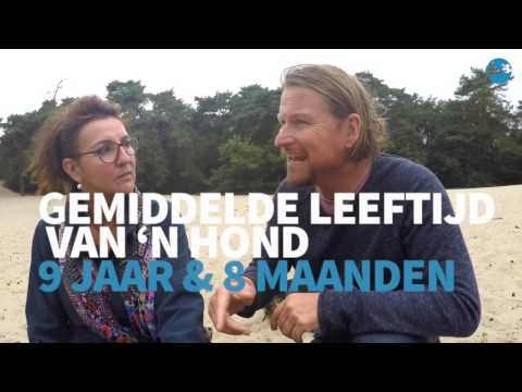 Hoe oud wordt mijn hond, denk jij?