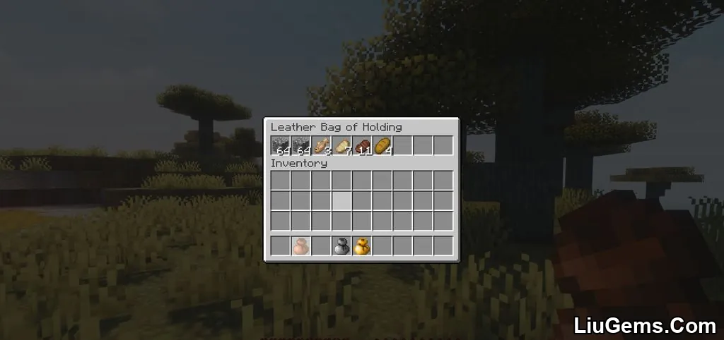 Bag Of Holding Mod Screenshots 02 Bag Of Holding Mod Screenshots 02