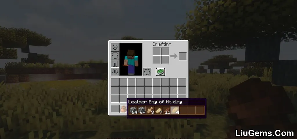 Bag Of Holding Mod Screenshots 03 Bag Of Holding Mod Screenshots 03