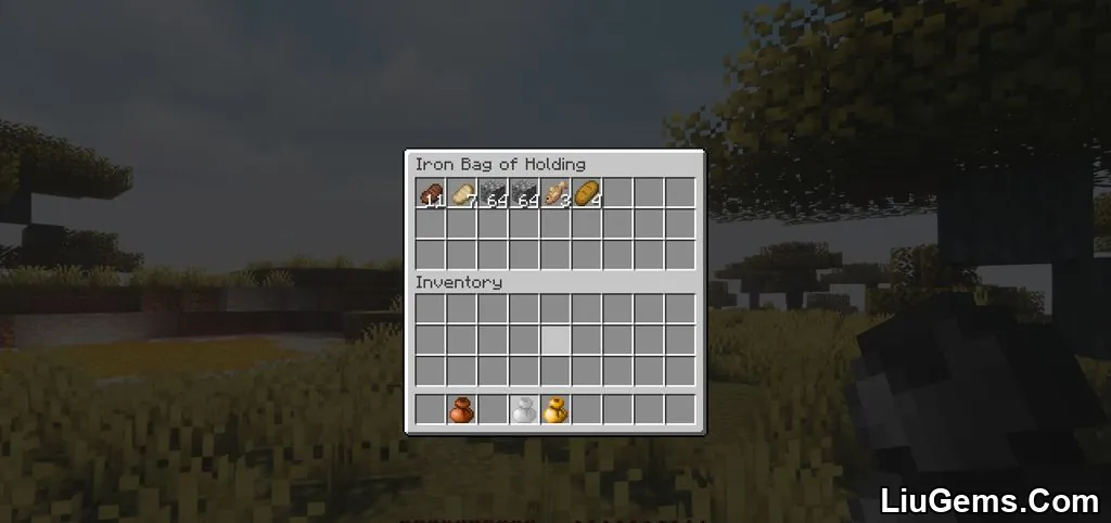 Bag Of Holding Mod Screenshots 04 Bag Of Holding Mod Screenshots 04