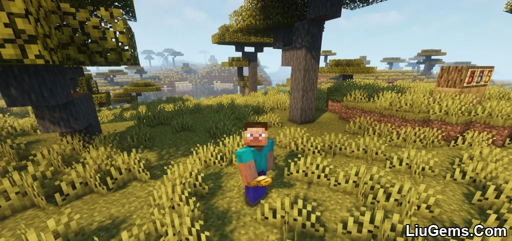 Bag Of Holding Mod Screenshots 10 Bag Of Holding Mod Screenshots 10
