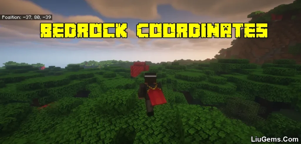 Bedrock Coordinates Mod 