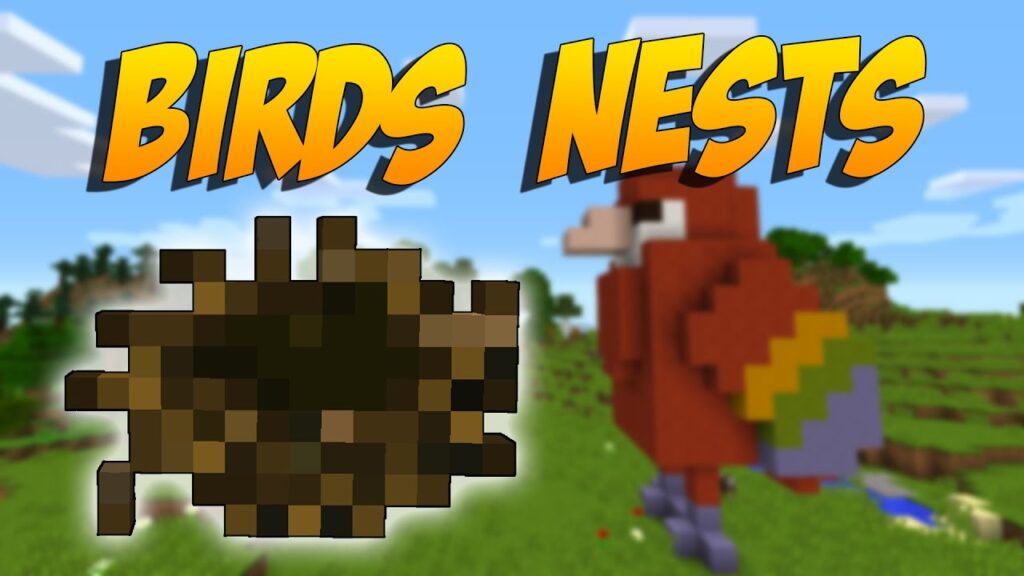 Birds Nests Mod