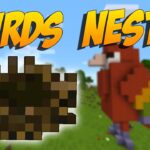 Birds Nests Mod