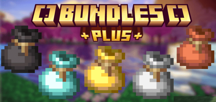 Bundles Plus Addon