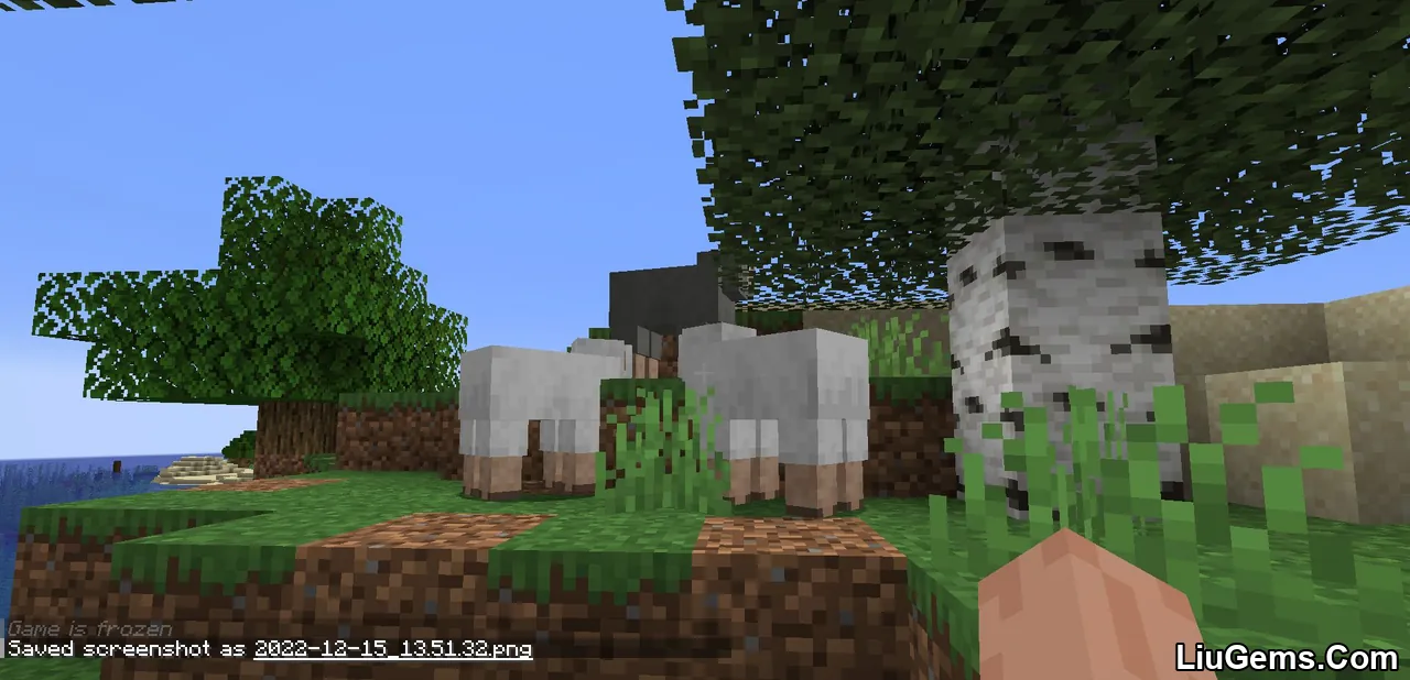 Carpet Mod Screenshots 05 Carpet Mod Screenshots 05