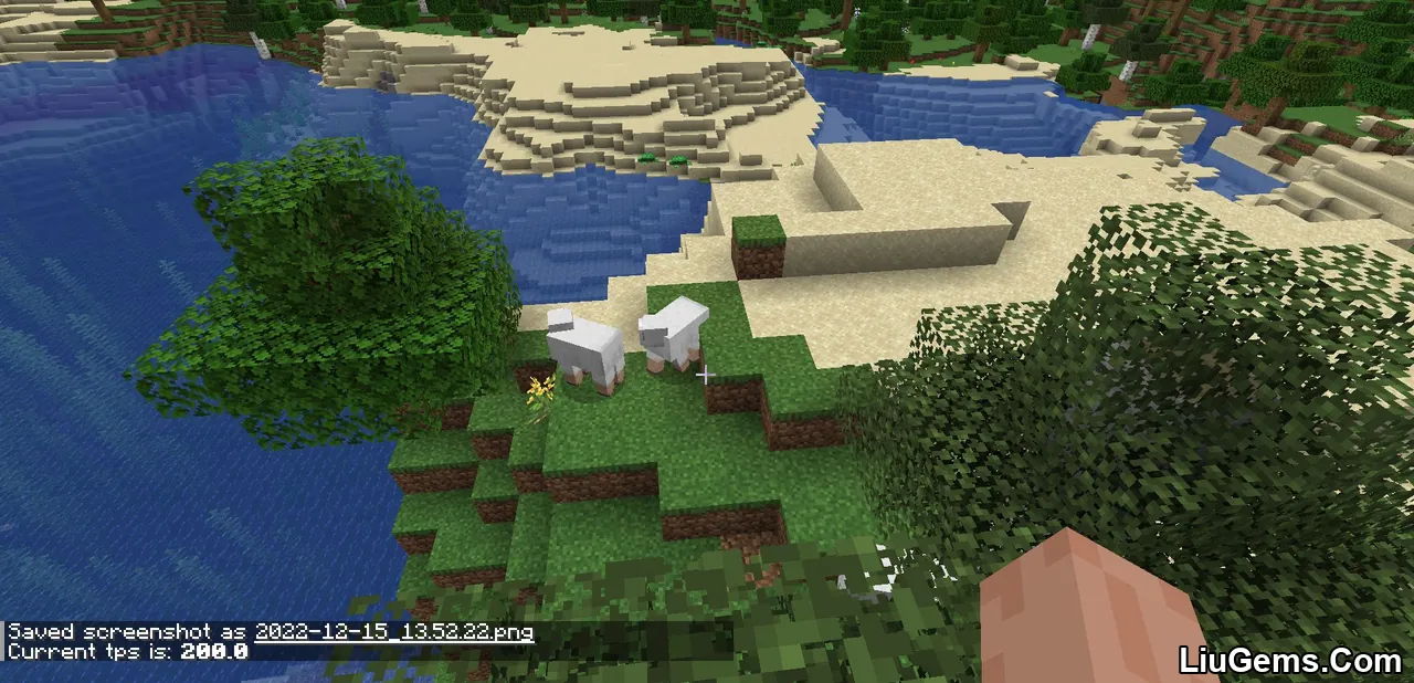 Carpet Mod Screenshots 06 Carpet Mod Screenshots 06
