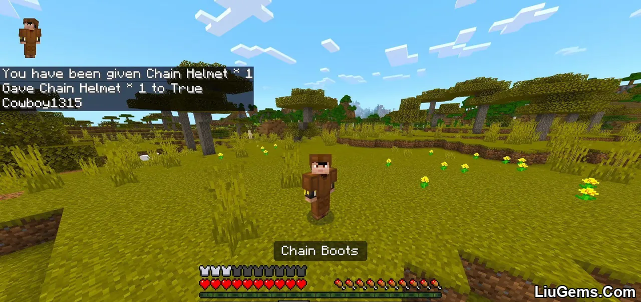 Chainmail Plus Addon Mcpe 13 Chainmail Plus Addon Mcpe 13