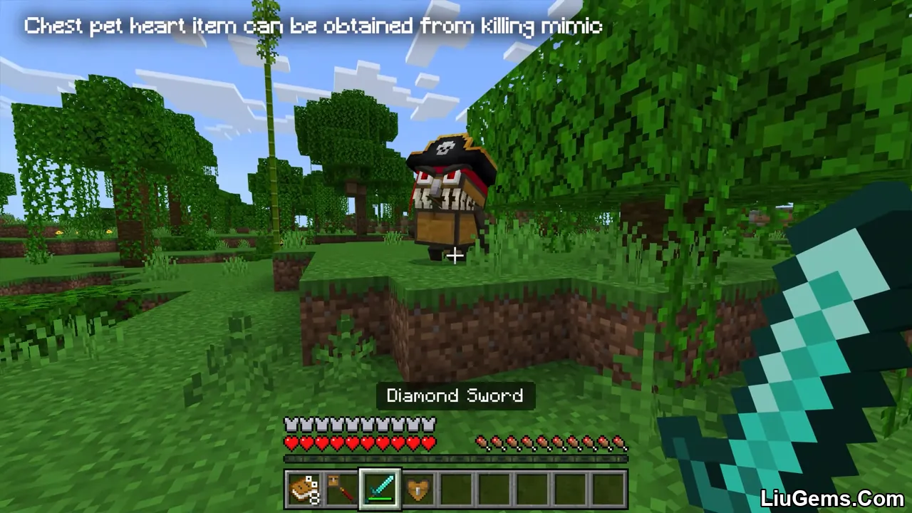 Chest Pets Addon Mcpe 3 Chest Pets Addon Mcpe 3