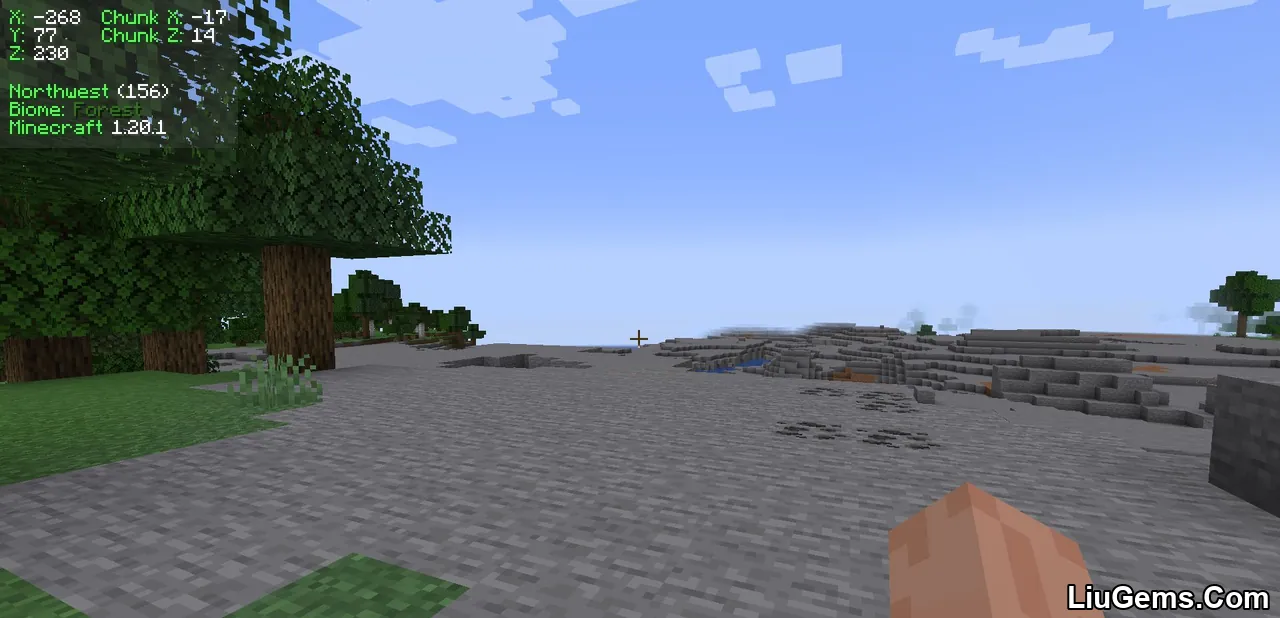 Coordinates Display Mod Screenshots 4 Coordinates Display Mod Screenshots 4