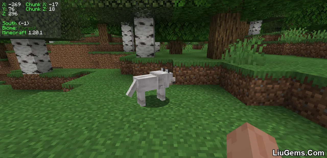 Coordinates Display Mod Screenshots 5 Coordinates Display Mod Screenshots 5
