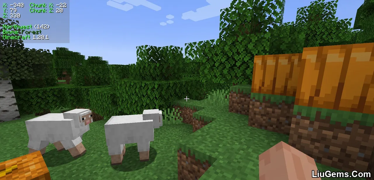 Coordinates Display Mod Screenshots 6 Coordinates Display Mod Screenshots 6