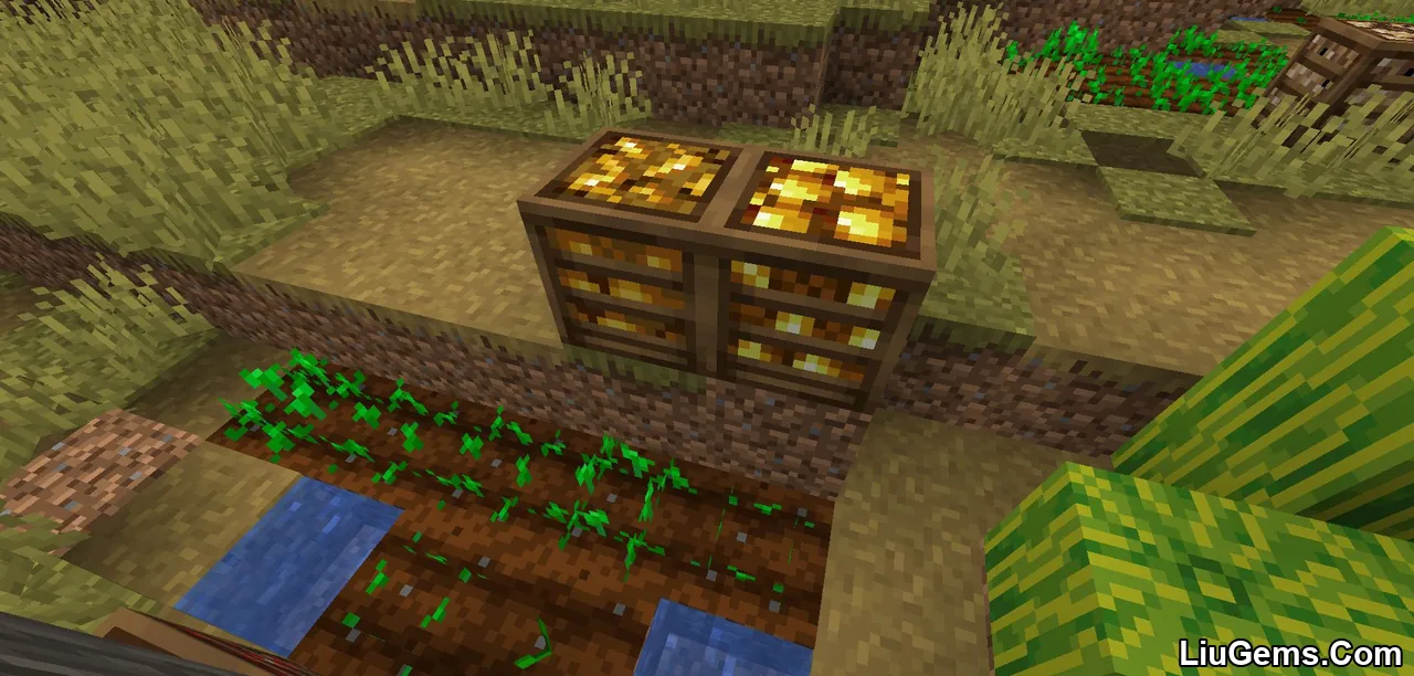 Crate Delight Mod Screenshots 5 Crate Delight Mod Screenshots 5