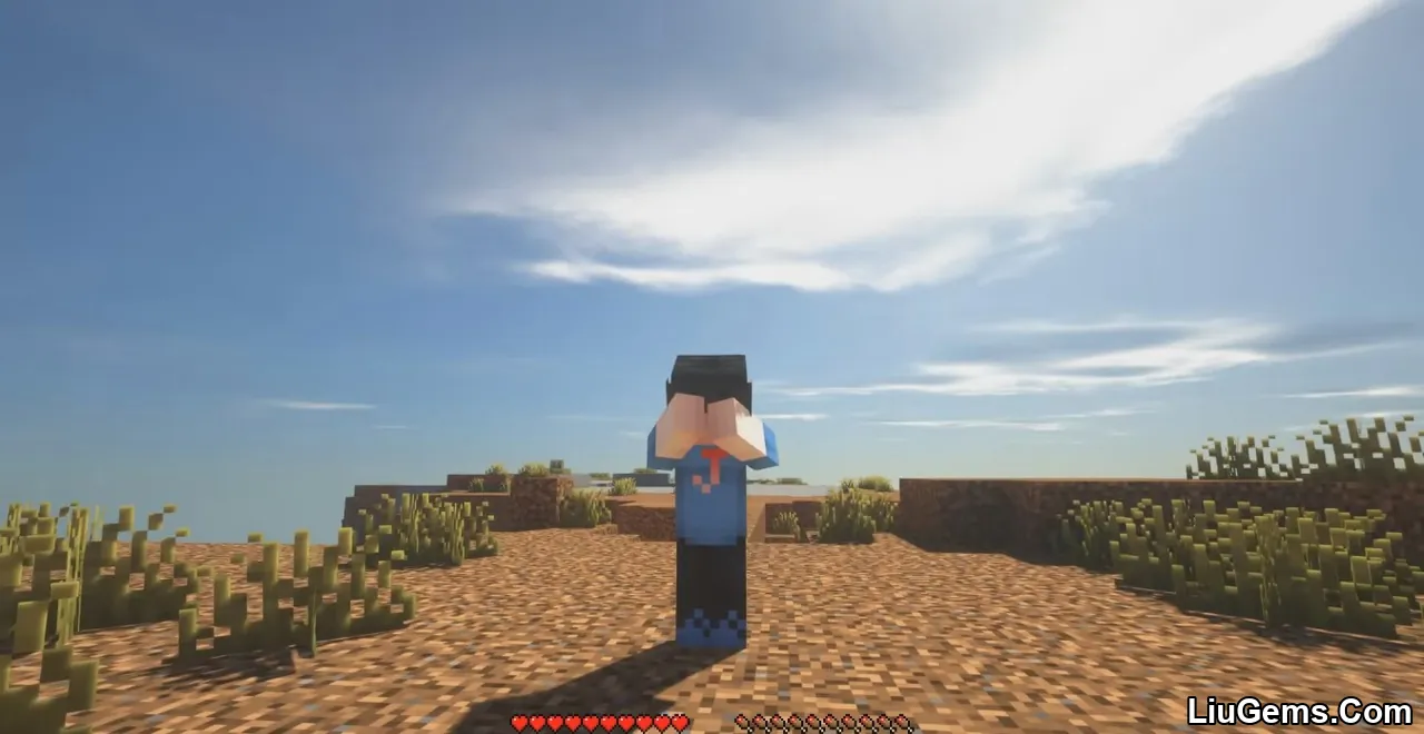 Emotecraft Mod Screenshots 5 Emotecraft Mod Screenshots 5